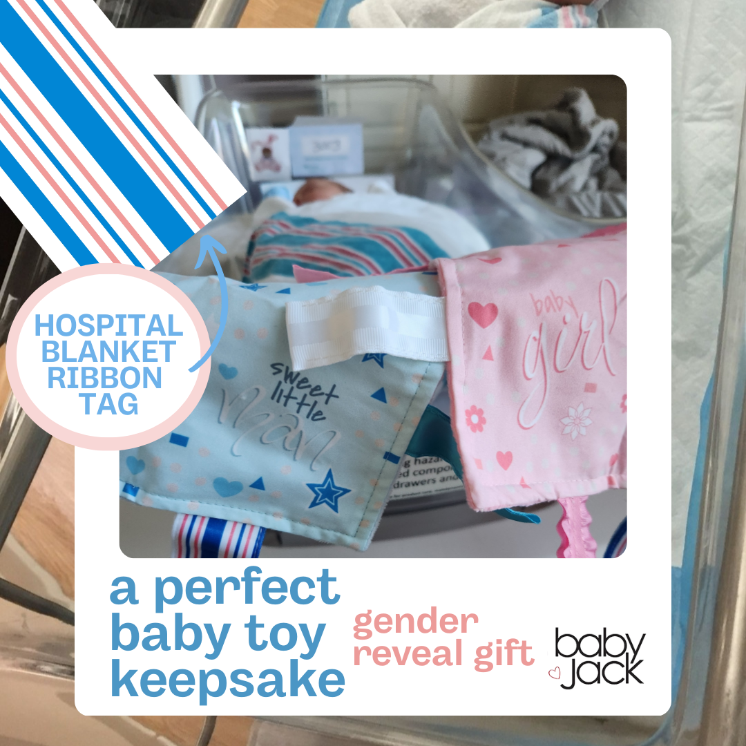 Baby Girl Newborn Hospital Blanket Blue Pink Tag Lovey Toy