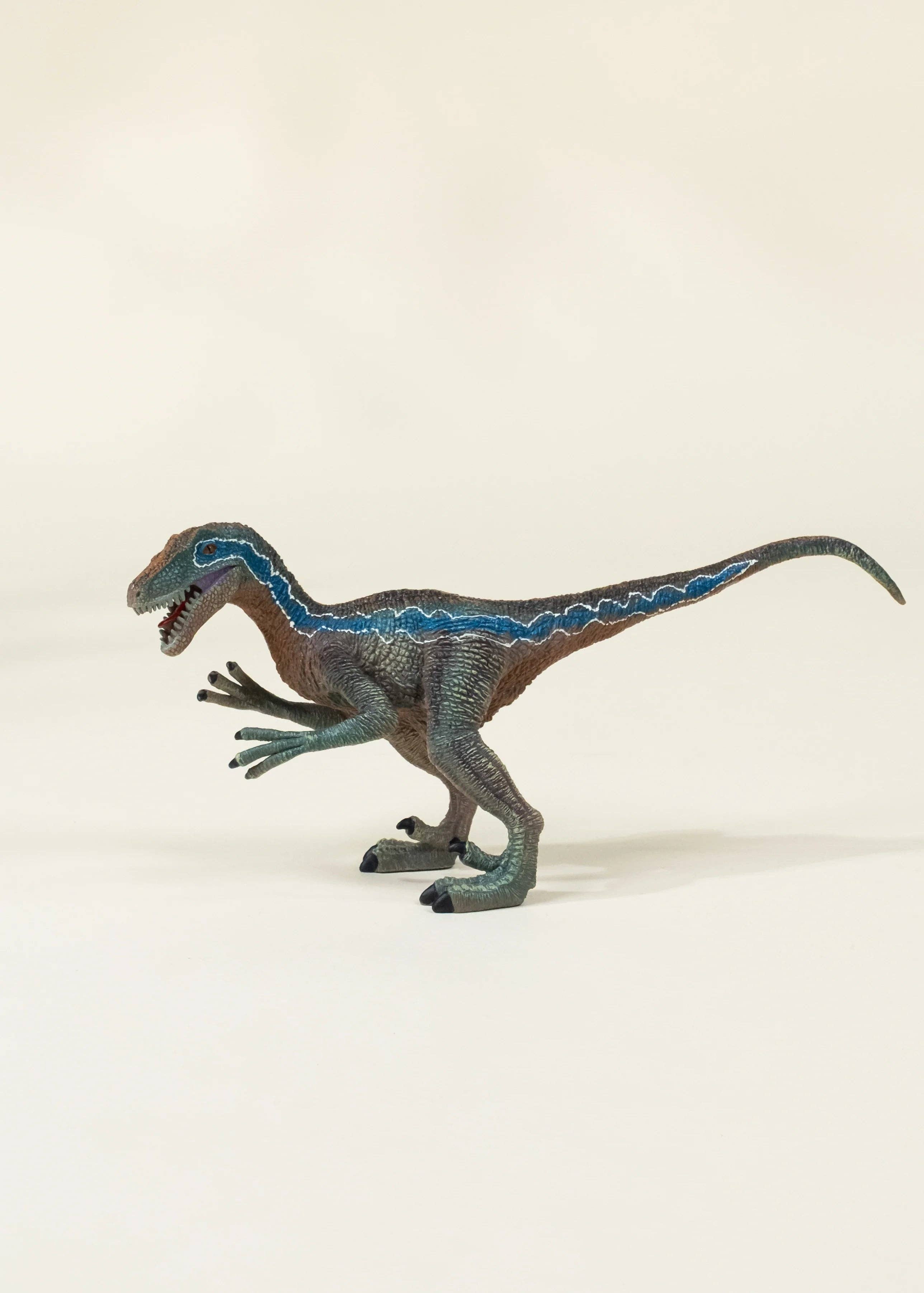 Velociraptor Dinosaur in a Collectible Box