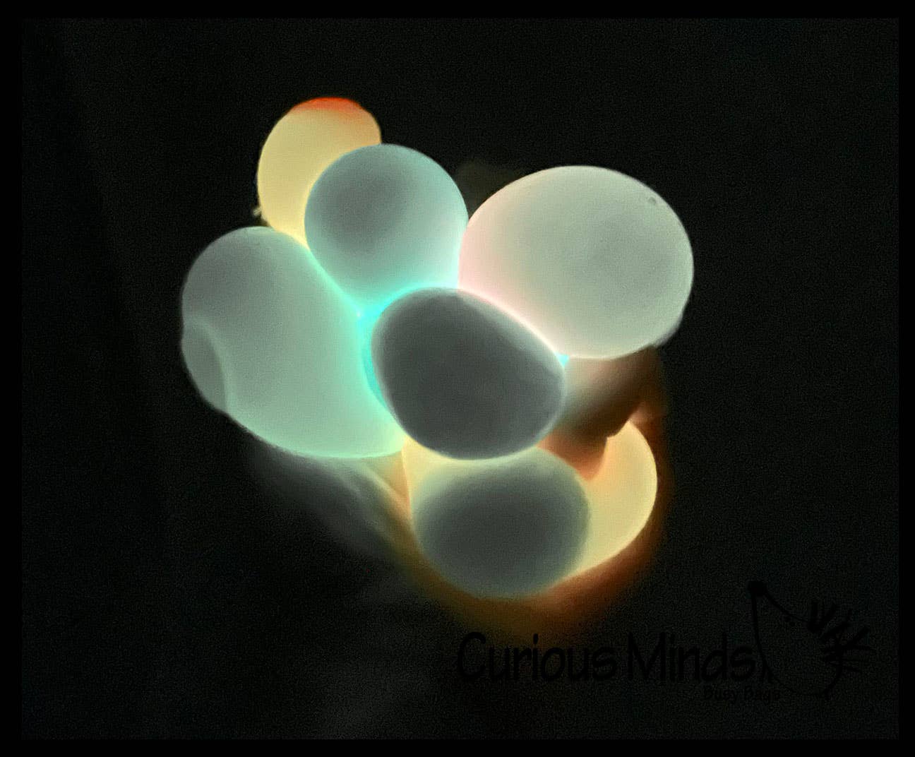 Single Small Glow in the Dark Doh Filled 1.5