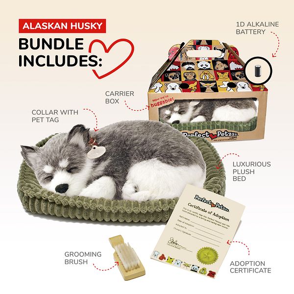 Alaskan Husky Perfect Petzzz