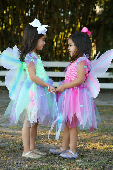 Butterfly Dress & Wings With Wand Green/Multi