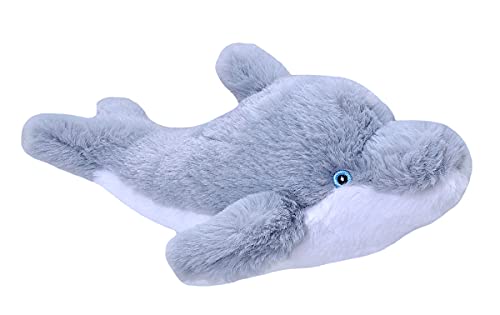 https://m.media-amazon.com/images/I/31agU4DMu2S.jpg