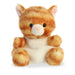 https://cdn.shopify.com/s/files/1/0565/7578/7180/products/33473.jpg?v=1746133655