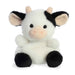 https://cdn.shopify.com/s/files/1/0565/7578/7180/products/33530.jpg?v=1746133620