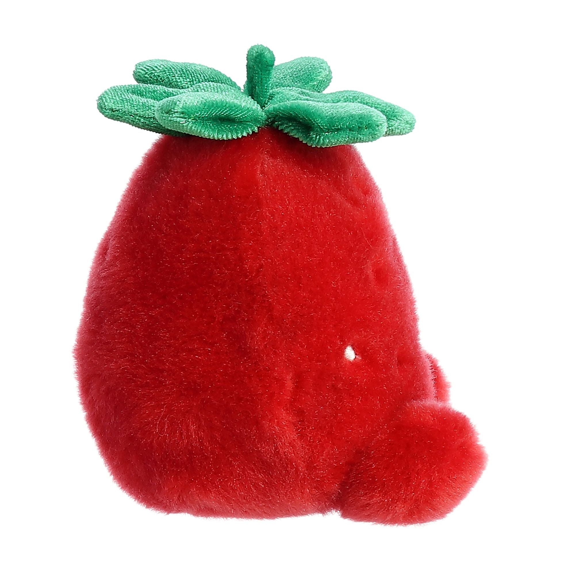 https://cdn.shopify.com/s/files/1/1229/8970/products/33573b_b514eb3f-a17b-43e8-be6e-d07906334ed2.jpg?v=1750265422