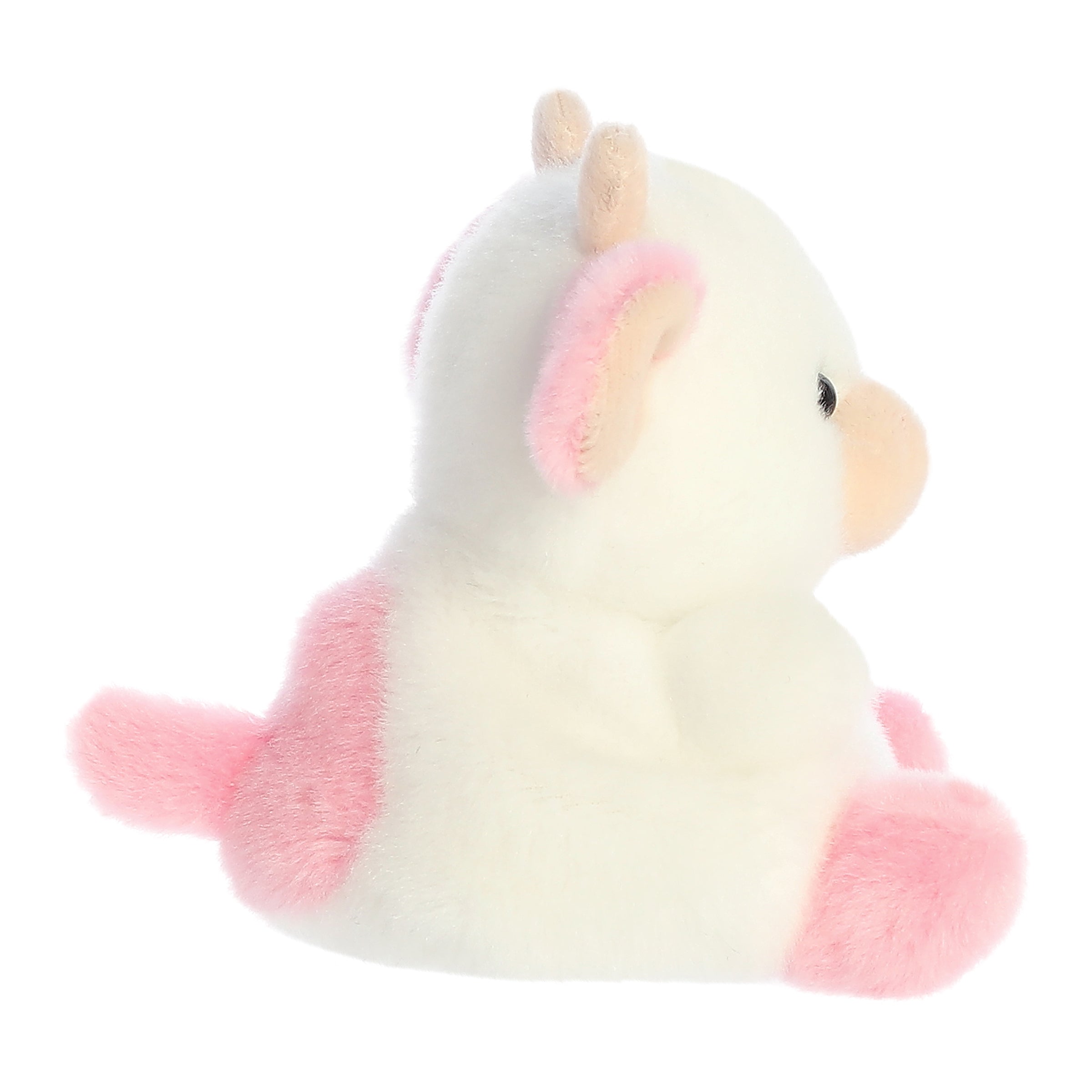 https://cdn.shopify.com/s/files/1/0565/7578/7180/products/33765b.jpg?v=1746133463