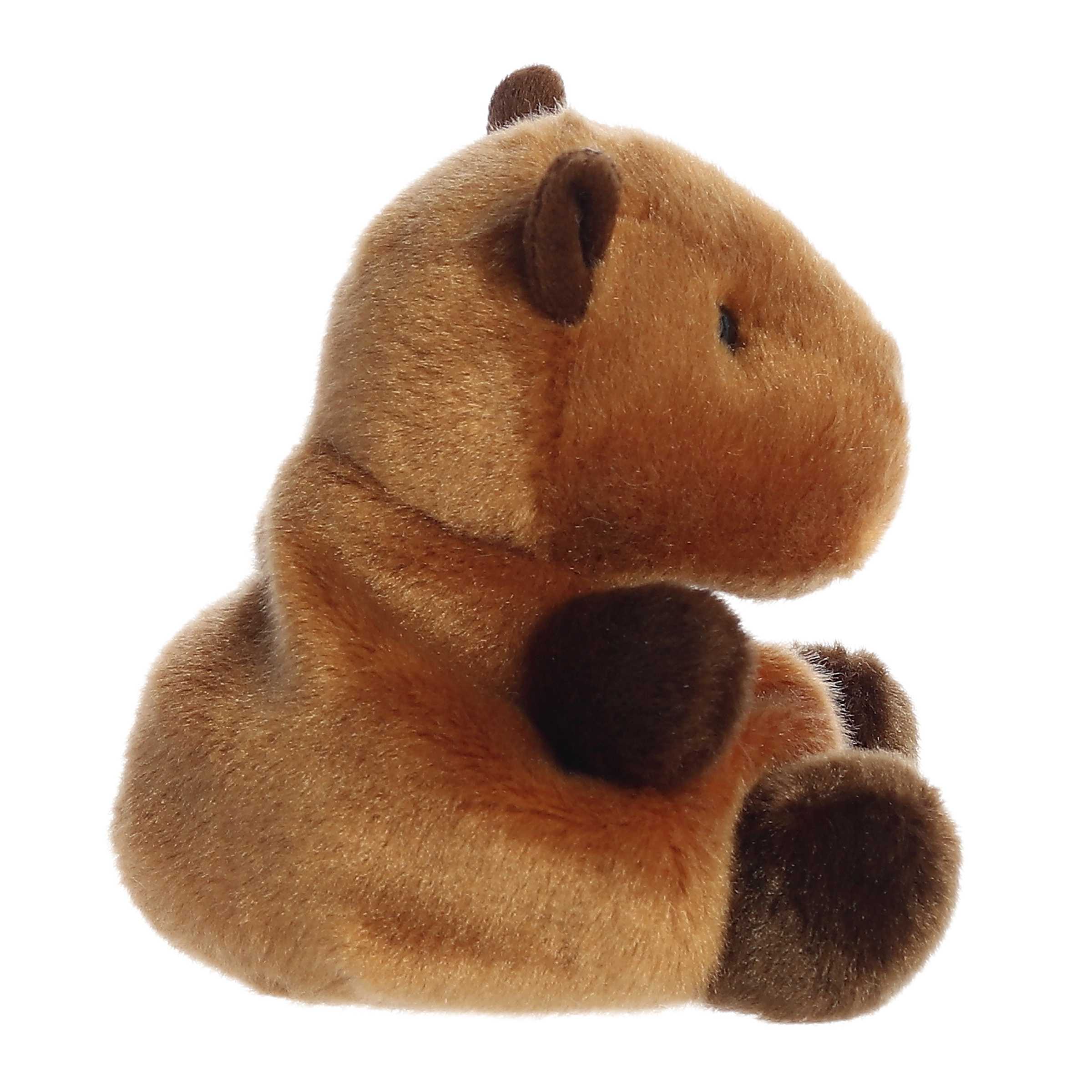 https://cdn.shopify.com/s/files/1/0565/7578/7180/products/33839b.jpg?v=1746133383