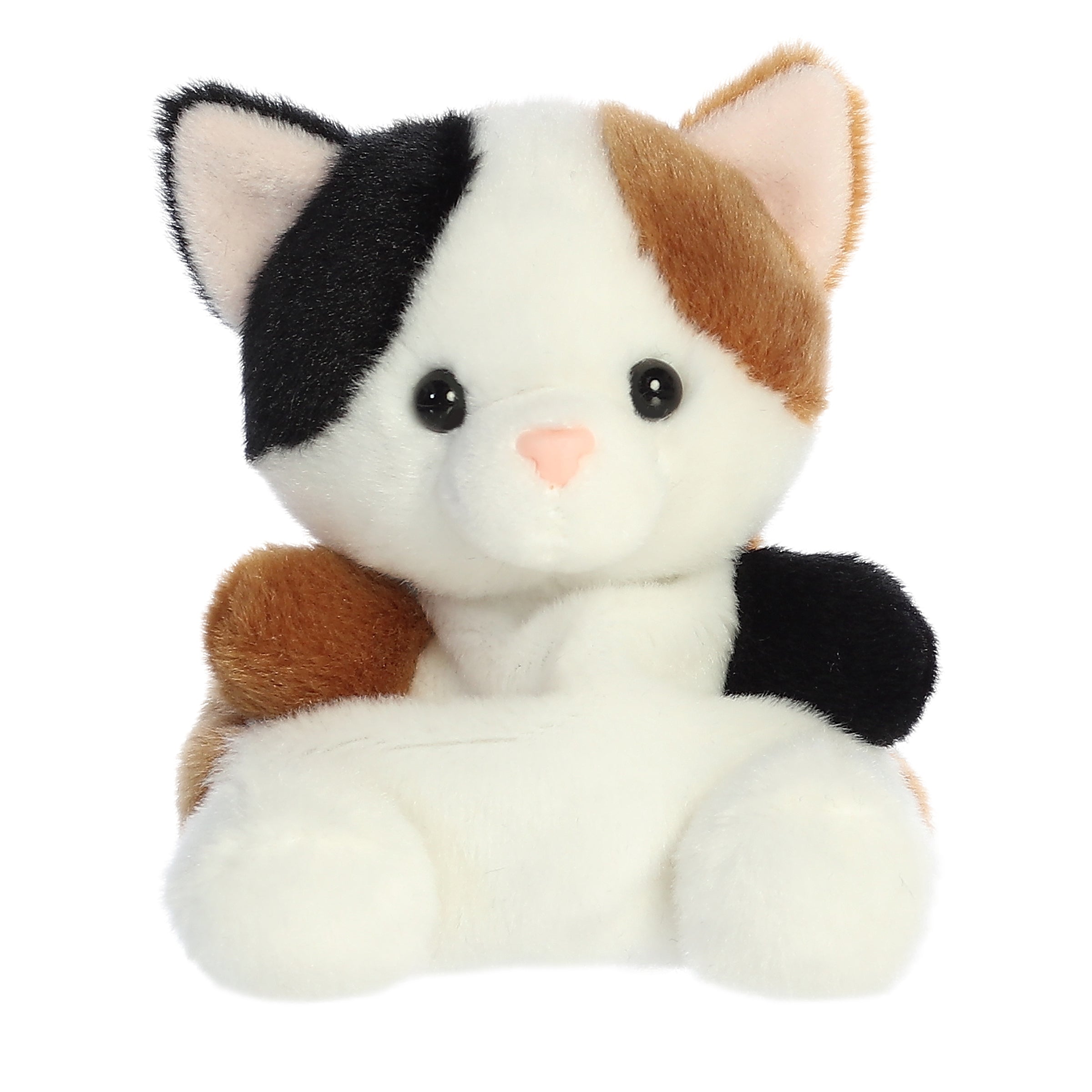 https://cdn.shopify.com/s/files/1/0565/7578/7180/products/33877.jpg?v=1746133288