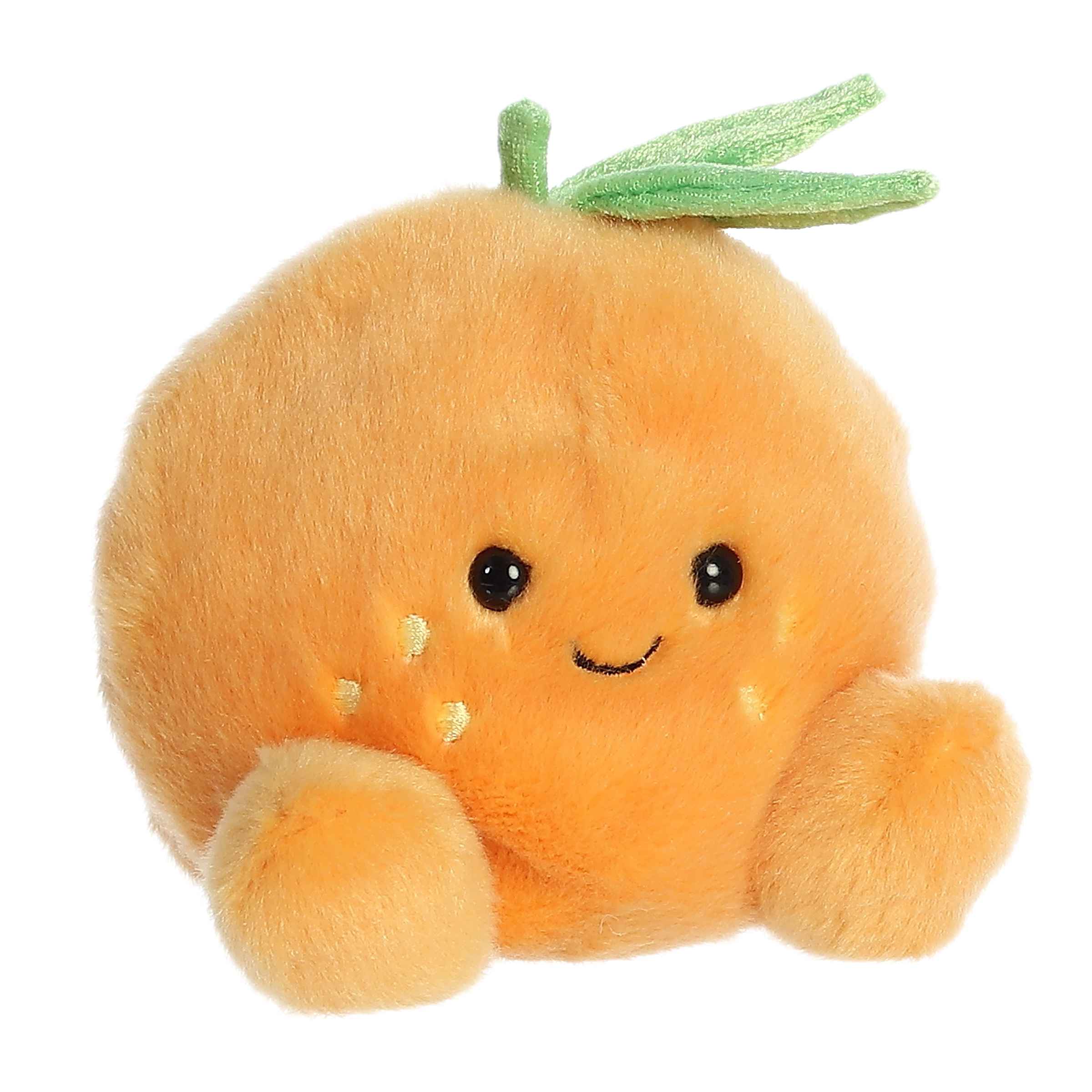 https://cdn.shopify.com/s/files/1/1229/8970/files/33913a.jpg?v=1750261593