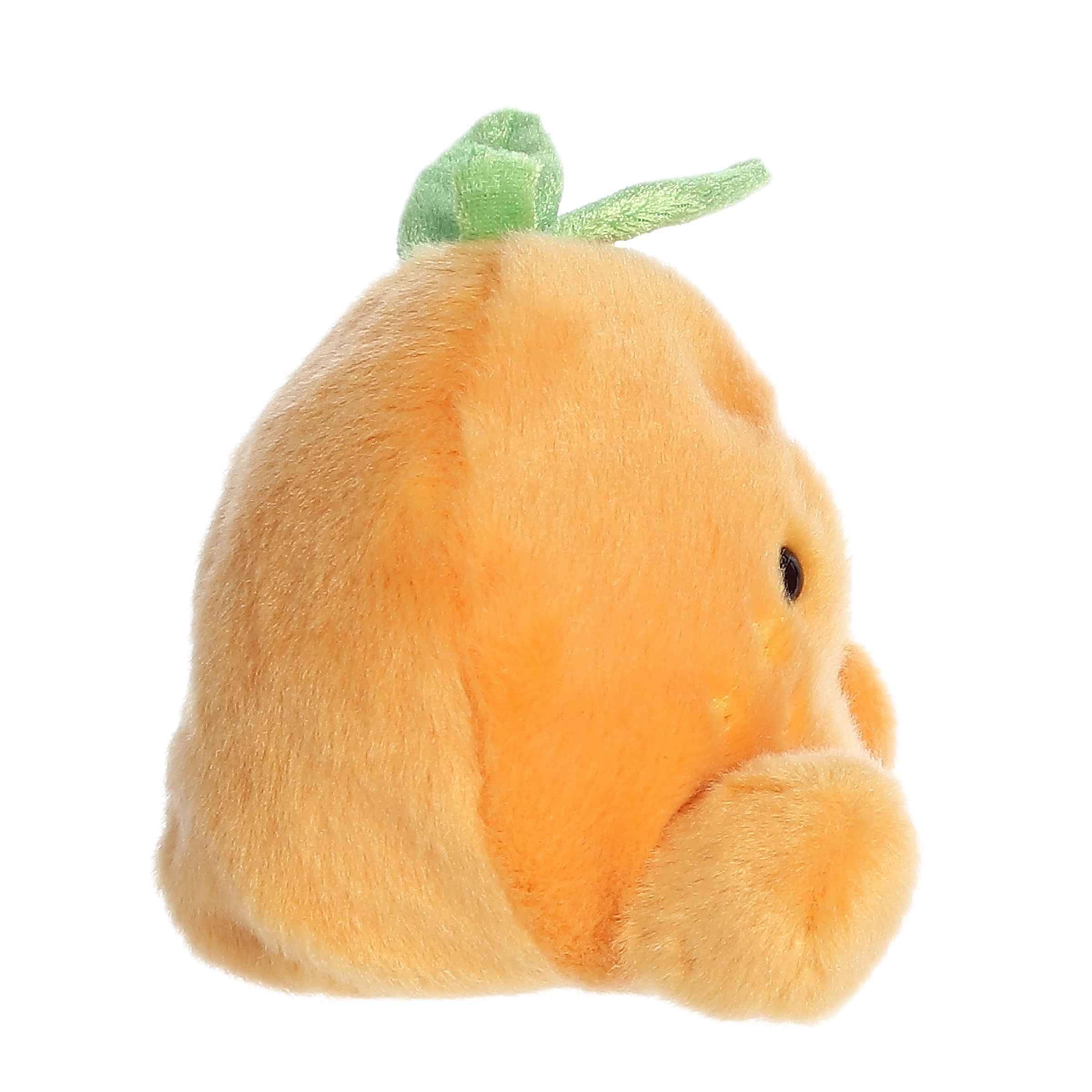 https://cdn.shopify.com/s/files/1/1229/8970/files/33913b.jpg?v=1750261593