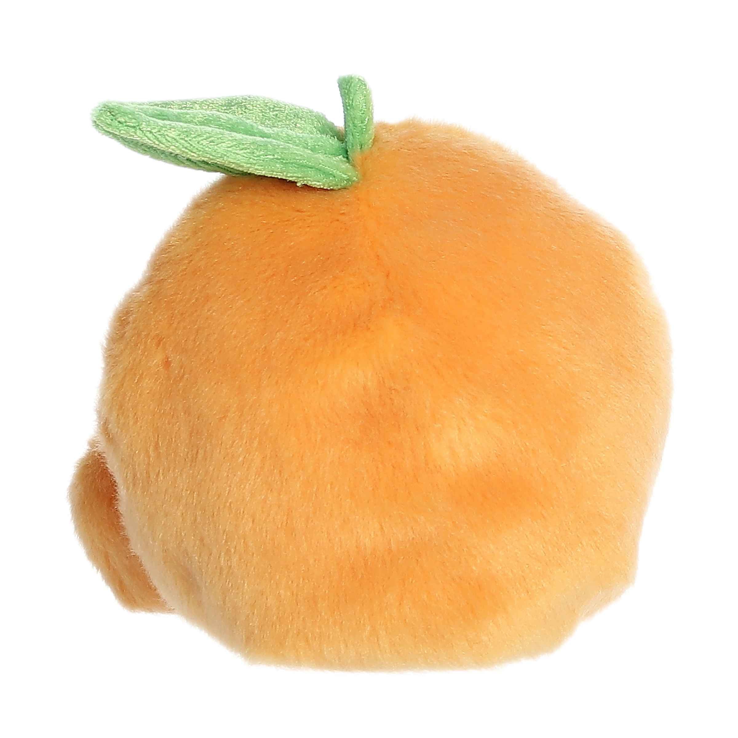 https://cdn.shopify.com/s/files/1/1229/8970/files/33913c.jpg?v=1750261593