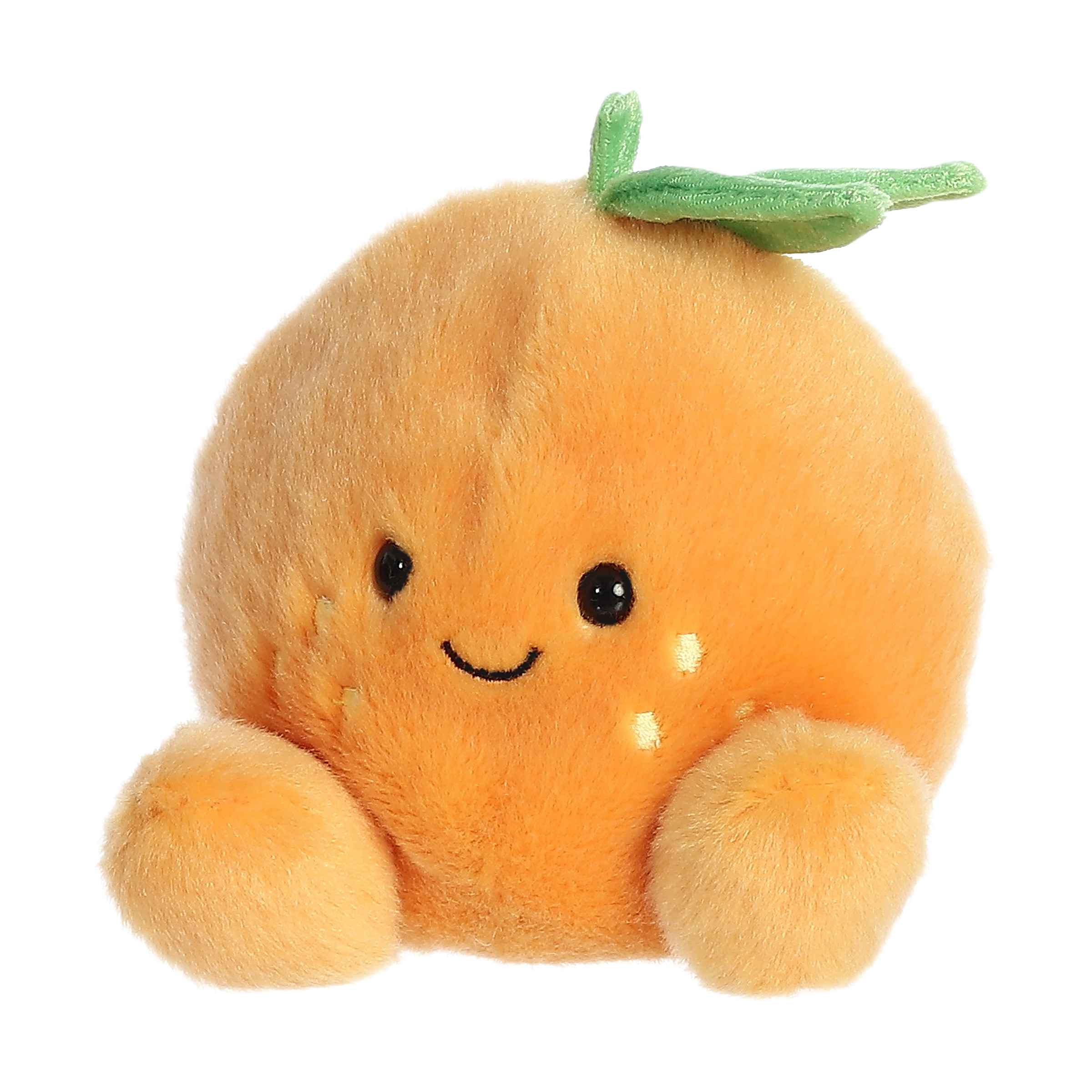 https://cdn.shopify.com/s/files/1/1229/8970/files/33913e.jpg?v=1750261593