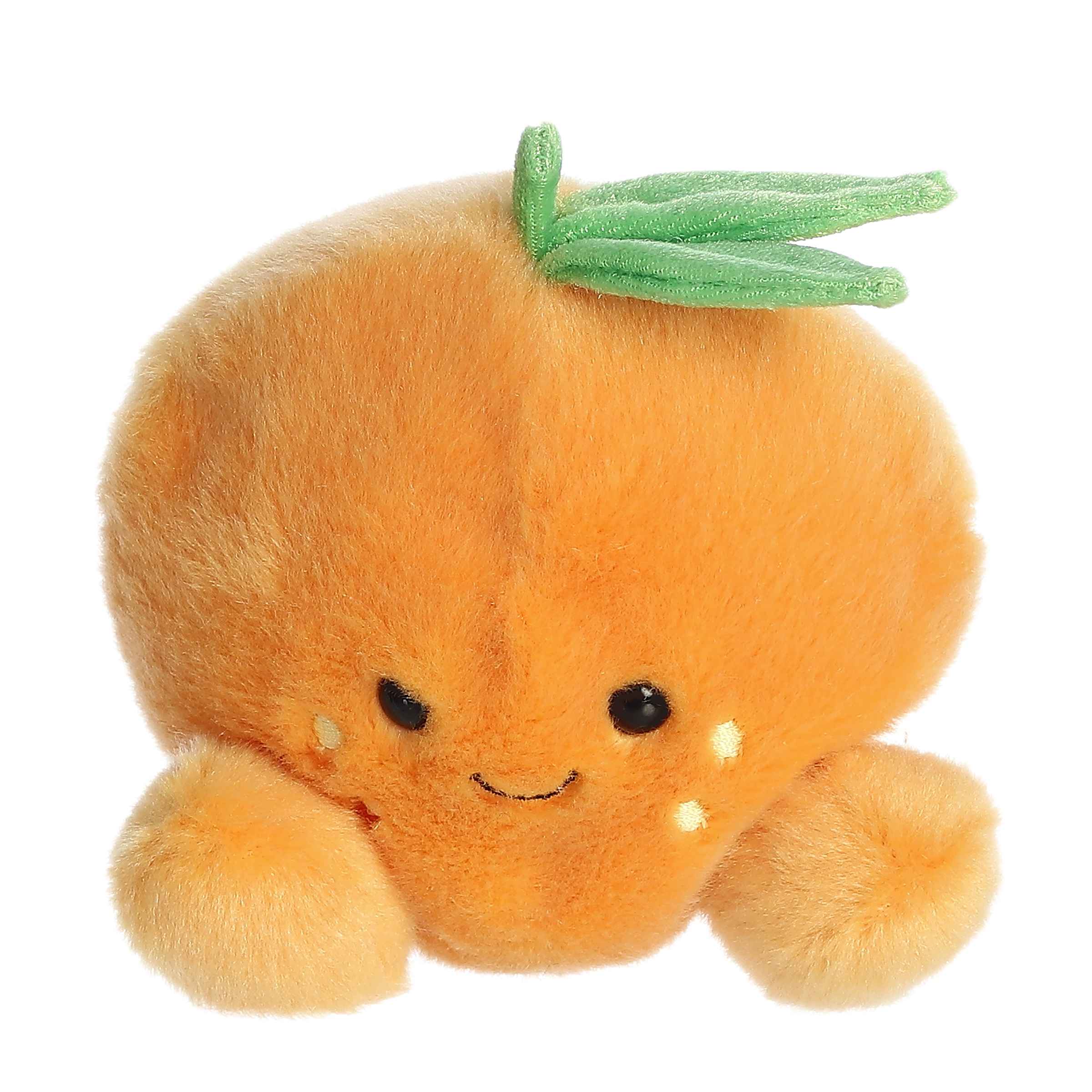 https://cdn.shopify.com/s/files/1/1229/8970/files/33913f.jpg?v=1750261594