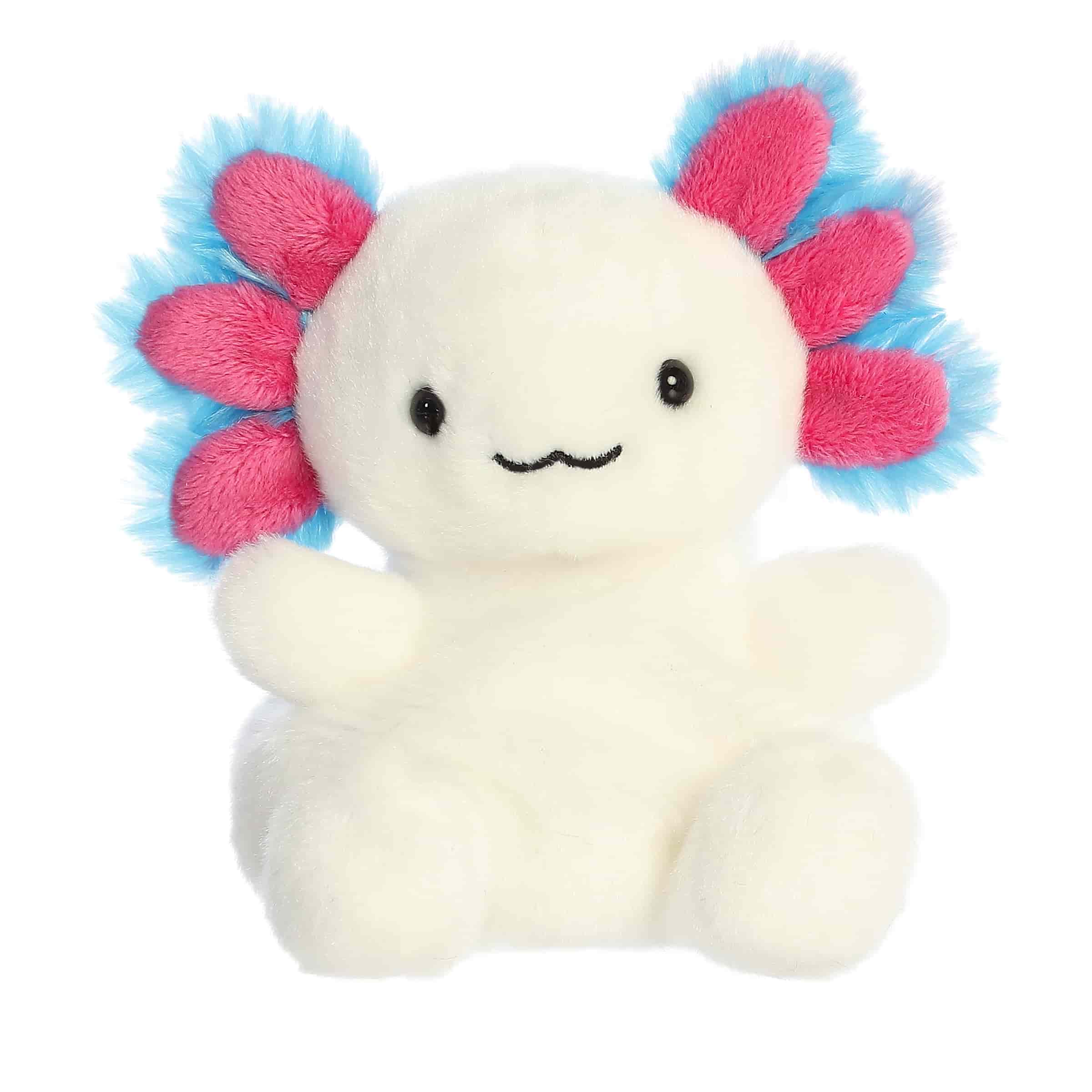 https://cdn.shopify.com/s/files/1/1229/8970/files/34127.jpg?v=1758653797