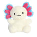 https://cdn.shopify.com/s/files/1/1229/8970/files/34127.jpg?v=1758653797