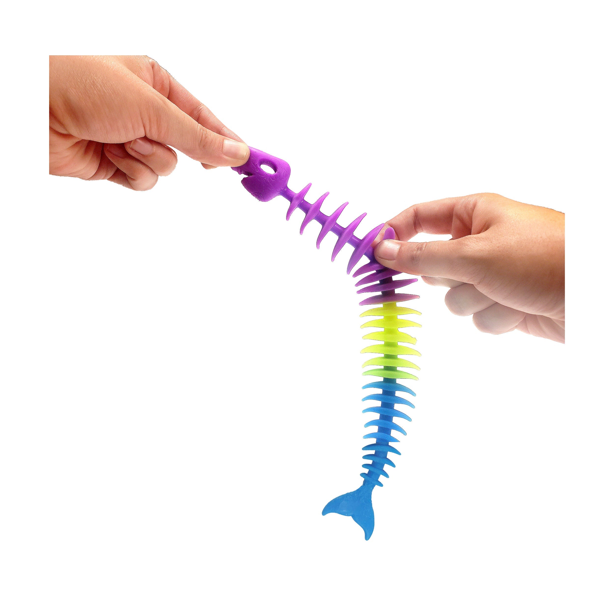 Sqwishy Fishy Bones