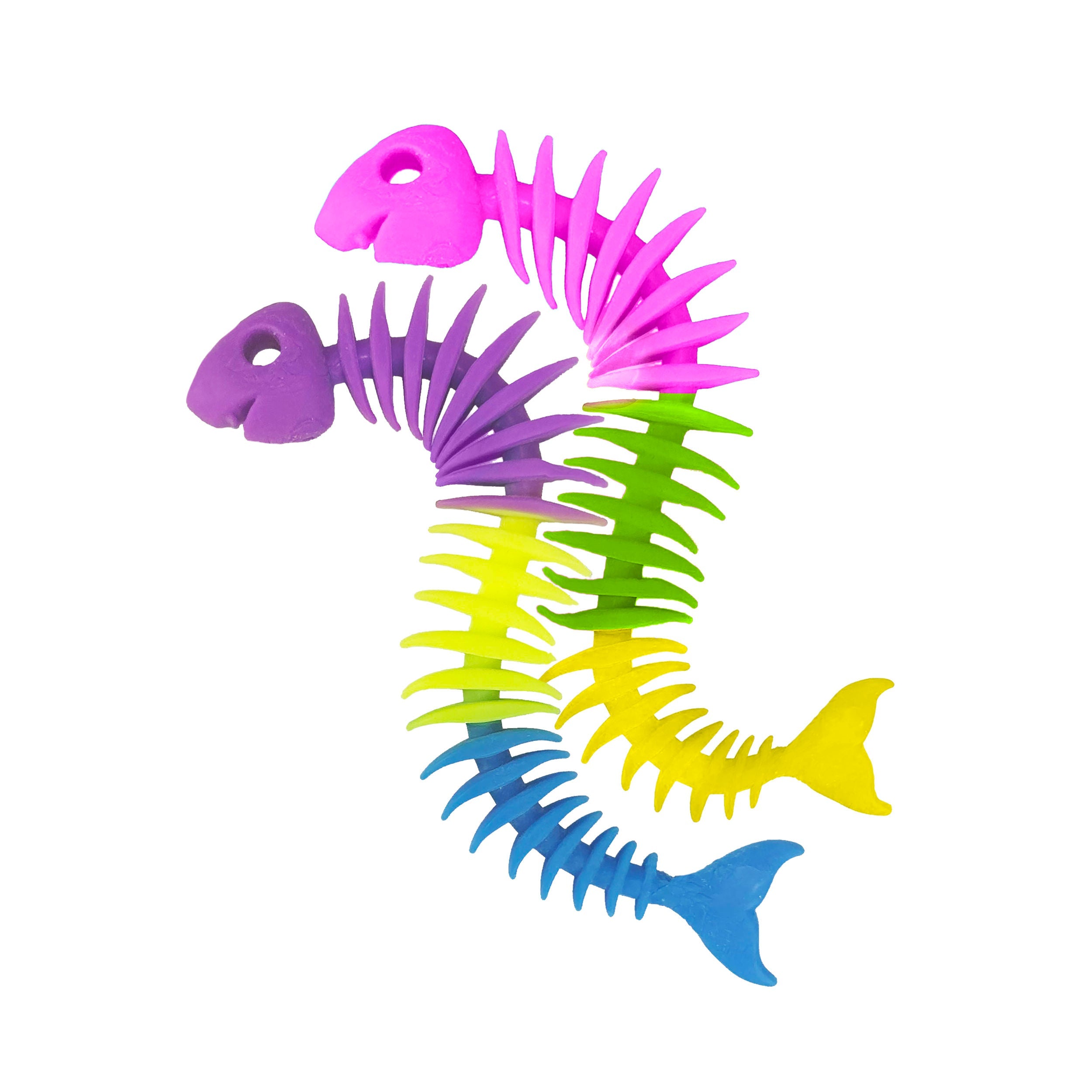 Sqwishy Fishy Bones
