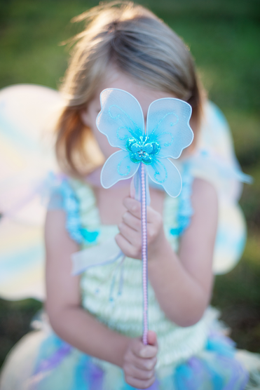 Butterfly Dress & Wings With Wand Green/Multi