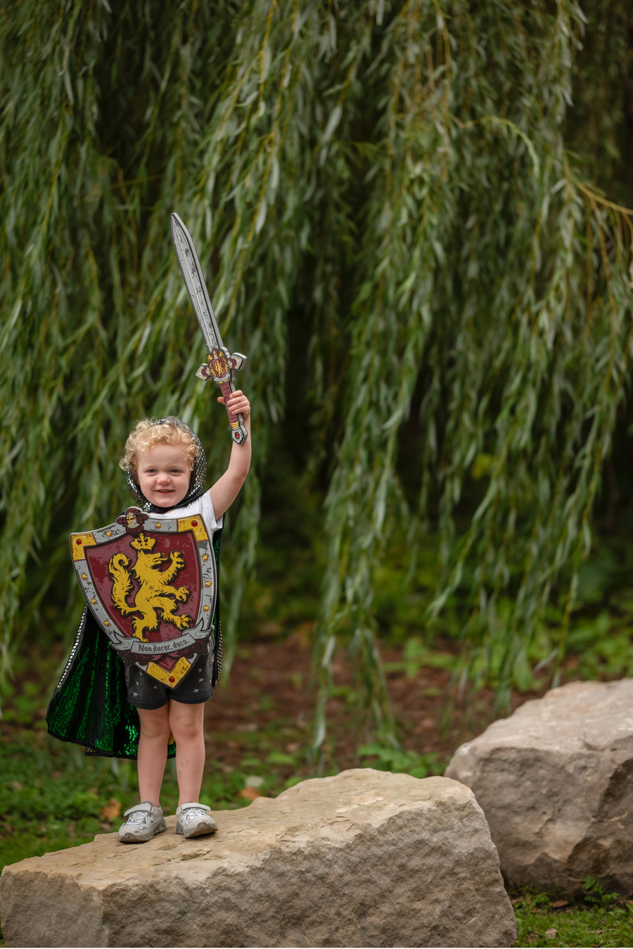 Knights Honour Sword