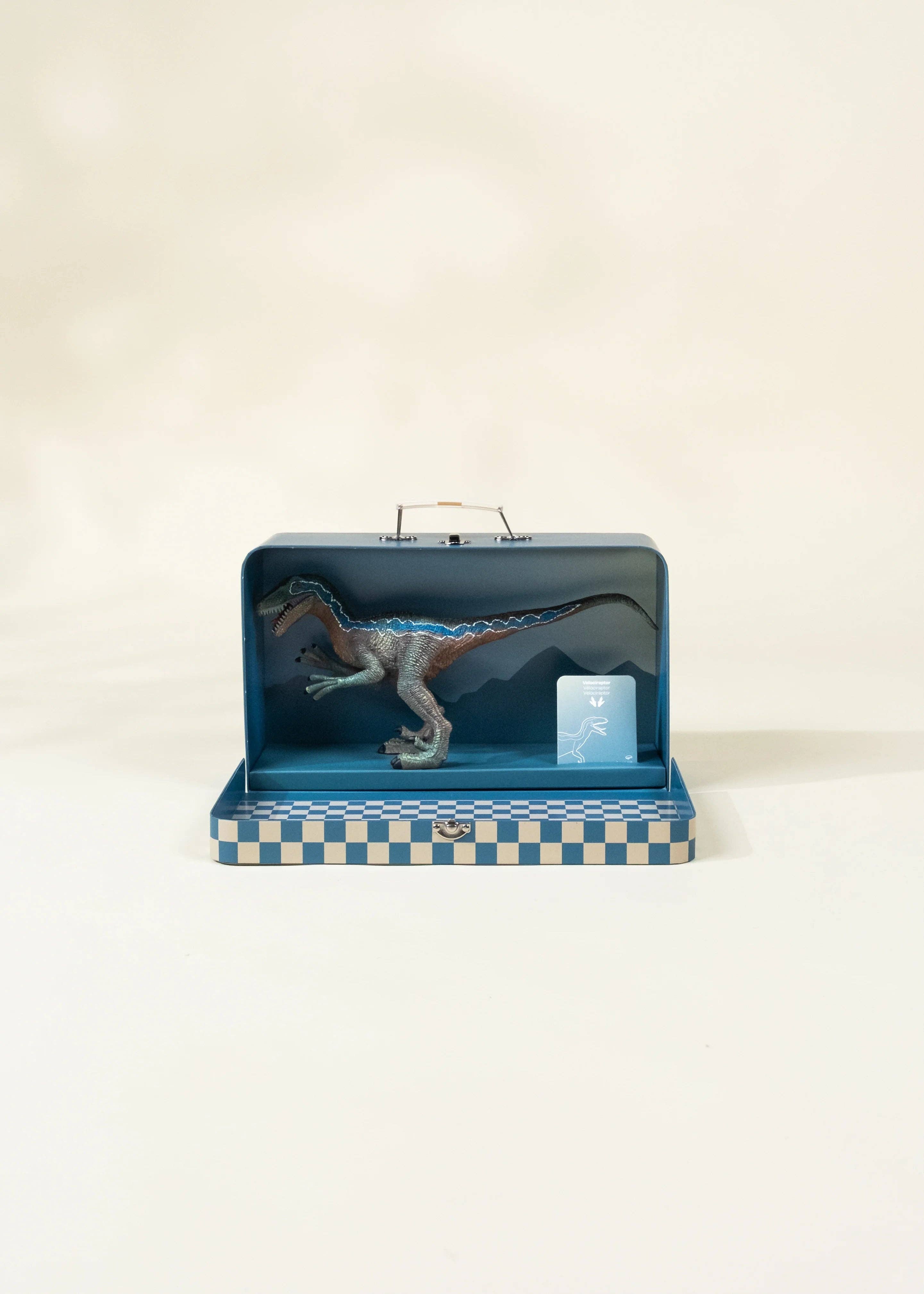 Velociraptor Dinosaur in a Collectible Box