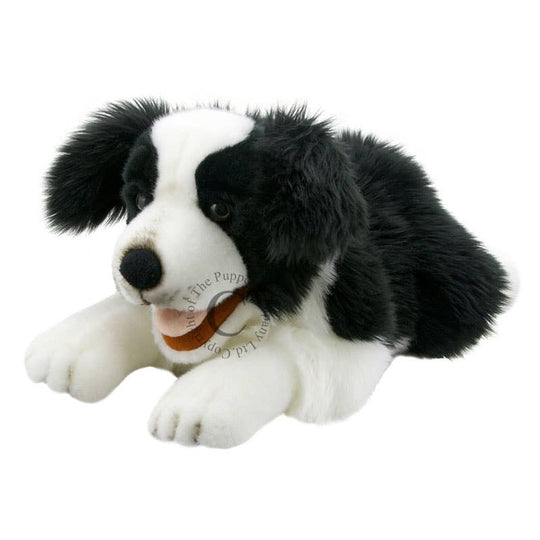 Playful Puppies Hand Puppet - Border Collie