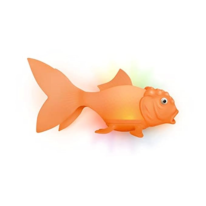https://m.media-amazon.com/images/I/51uCmBIR9KL._SX679_.jpg