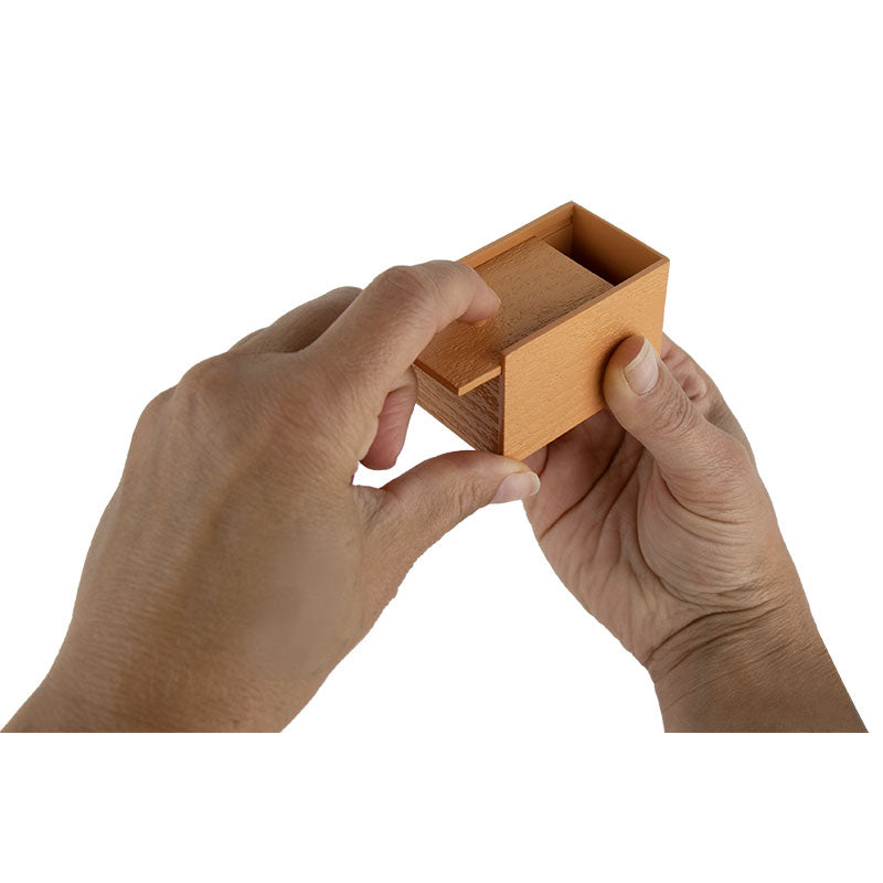 Super Impulse World's Smallest Spider Box Prank Toy