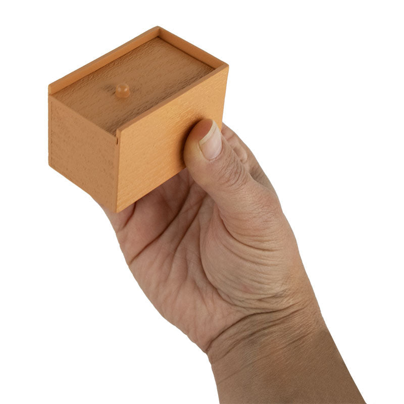 Super Impulse World's Smallest Spider Box Prank Toy