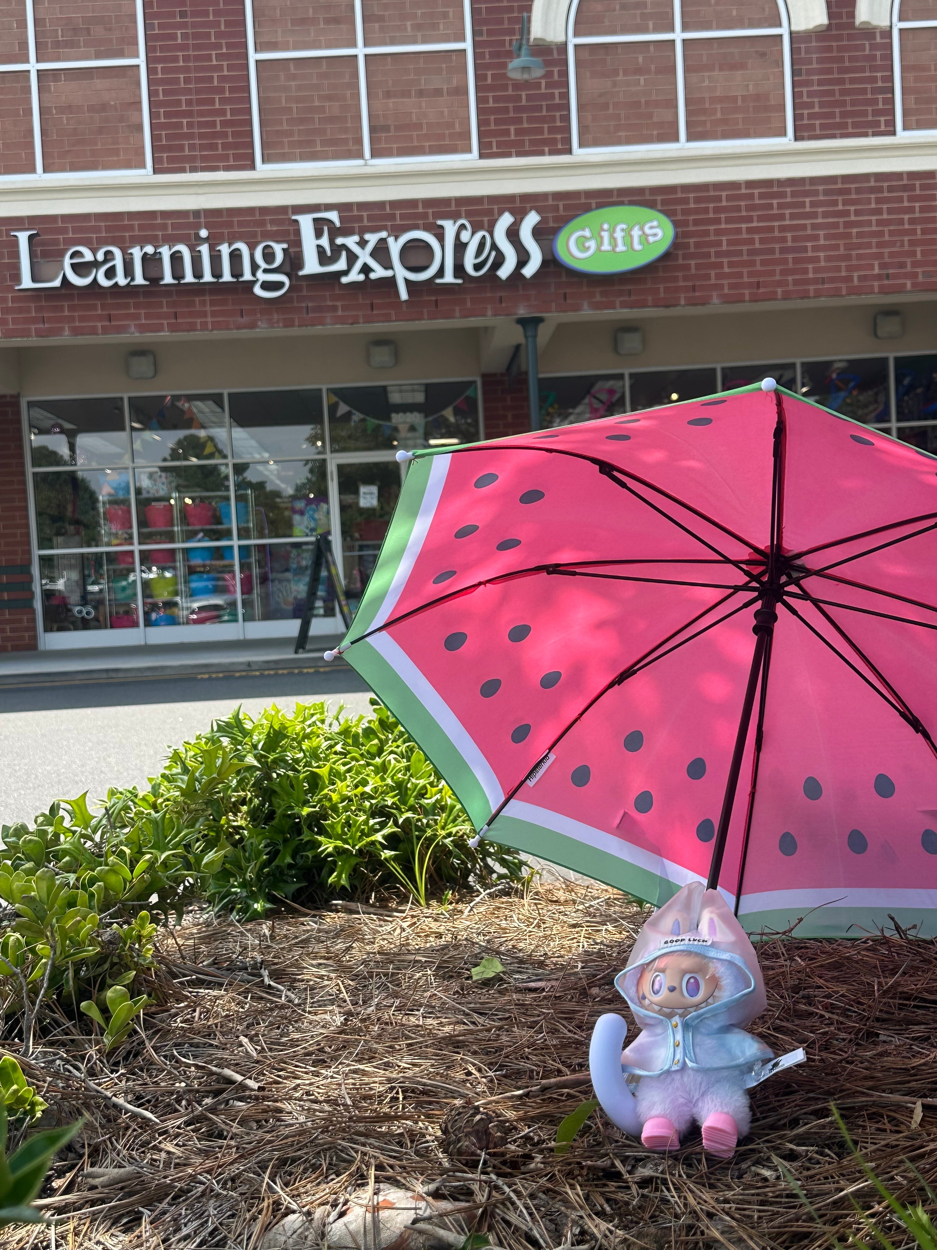 Labubu Raincoat and Boots