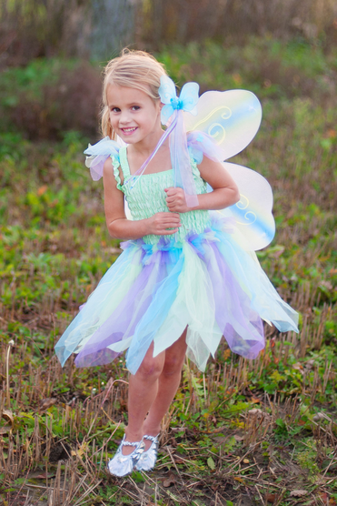 Butterfly Dress & Wings With Wand Green/Multi