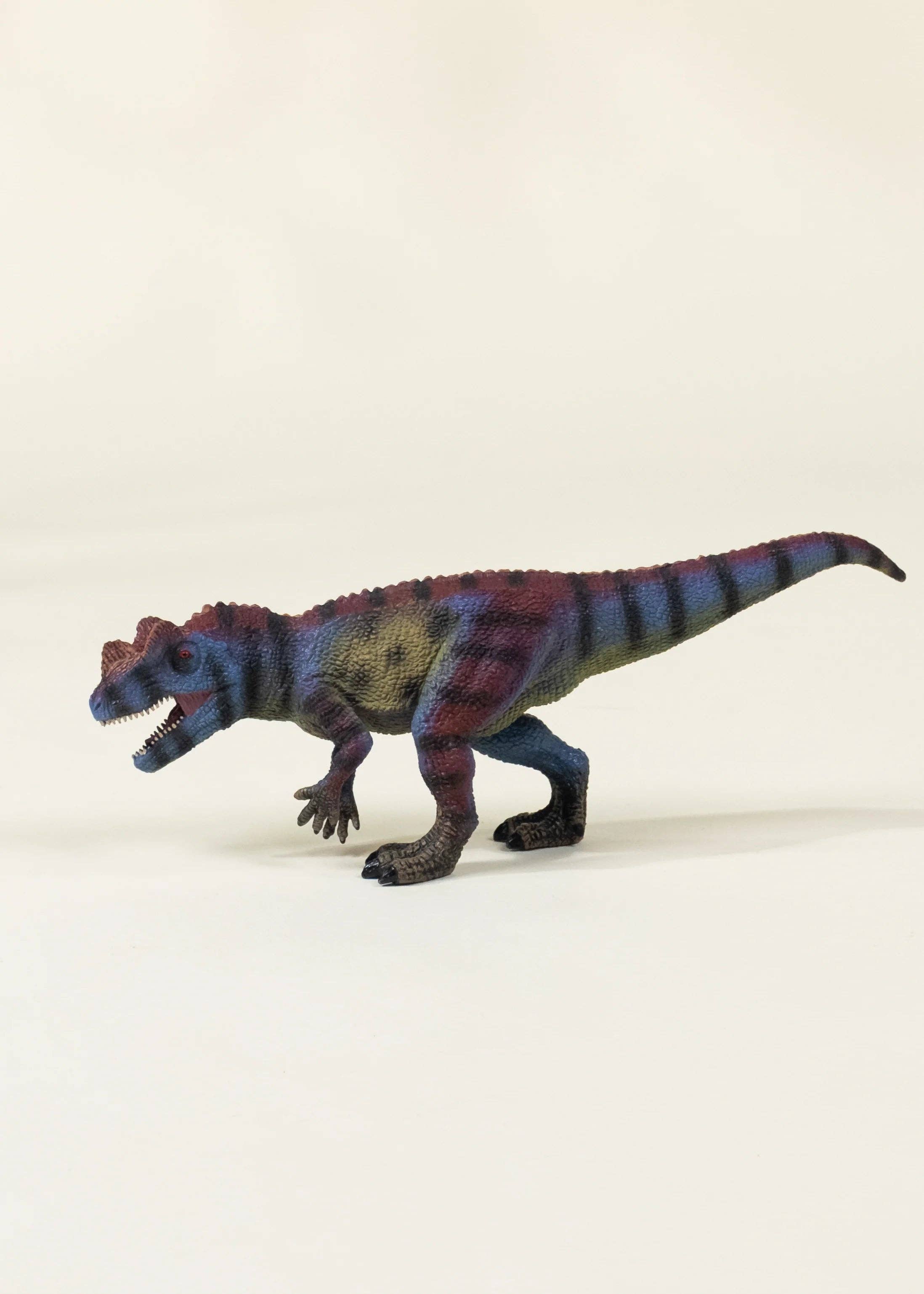 Ceratosaurus Dinosaur in a Collectible Box