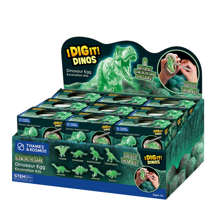 I Dig It Dino Glow in the Dark Singles in a Box