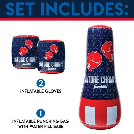 Punching Bag & Gloves