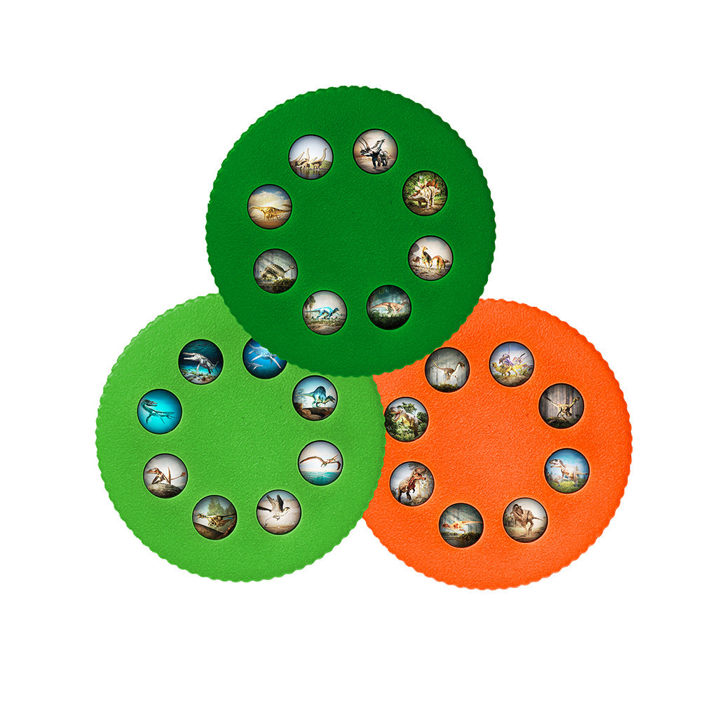 https://cdn.shopify.com/s/files/1/0104/6331/3977/files/656101-WonderlightDino-Disks.jpg?v=1767727141