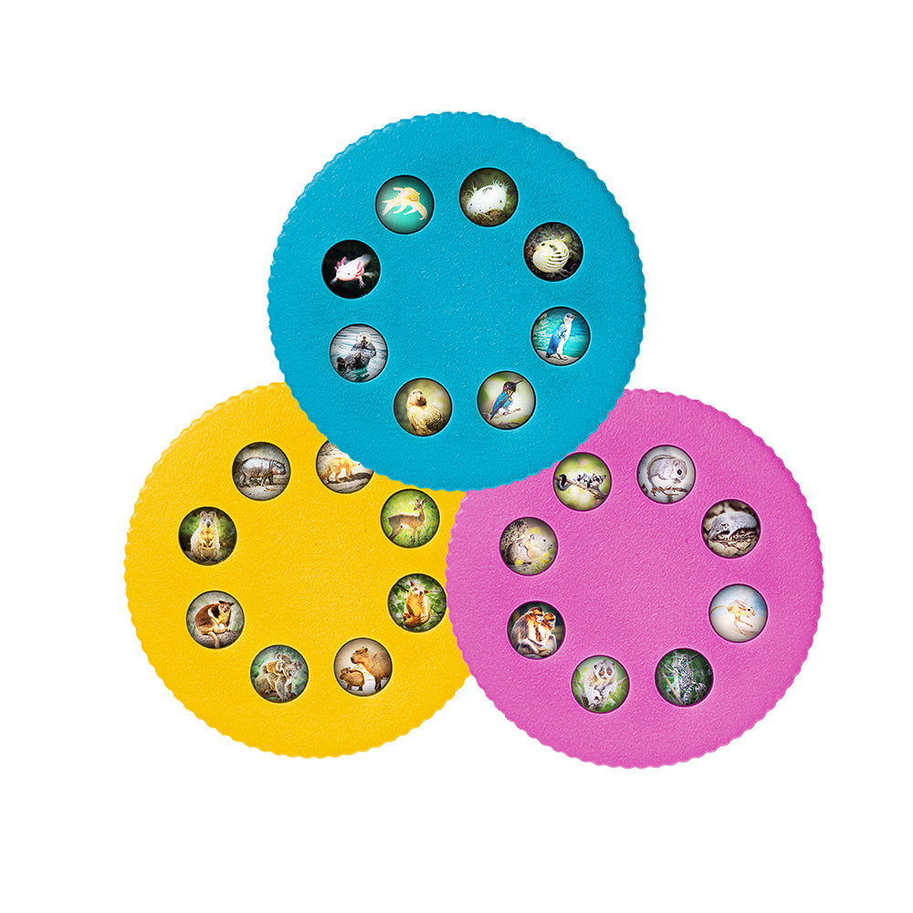 https://cdn.shopify.com/s/files/1/0104/6331/3977/files/656103-WonderlightCute-Disks.jpg?v=1767727135