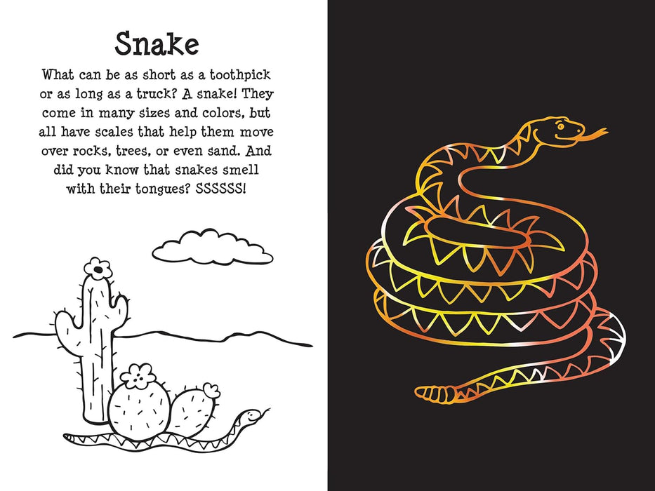 At the Zoo Scratch and Sketch Book