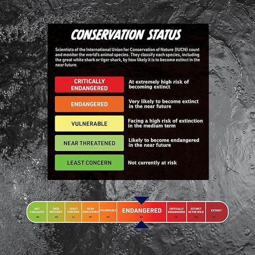 Steam Lab Virtual Reality Shark Science Kit