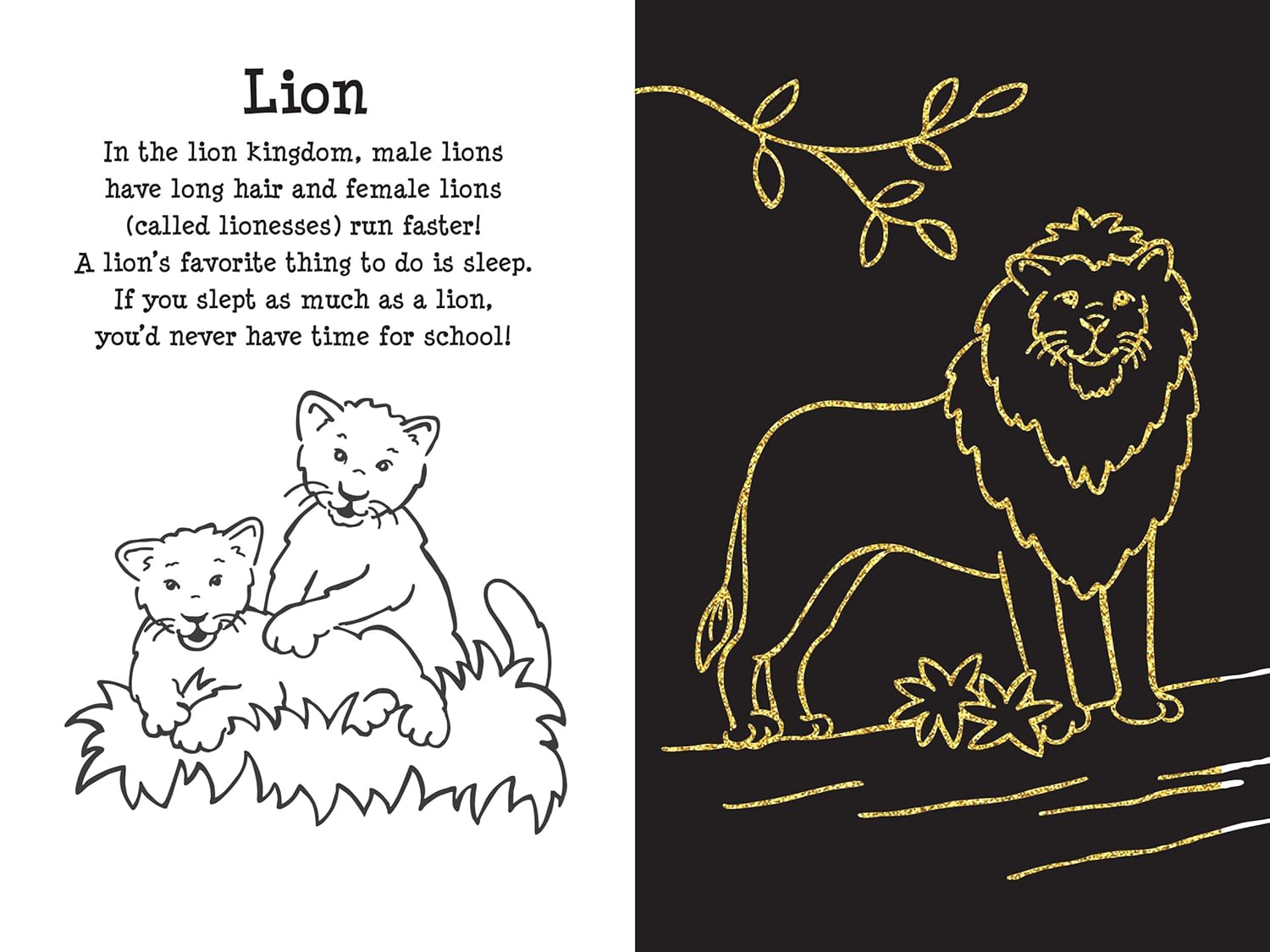 At the Zoo Scratch and Sketch Book