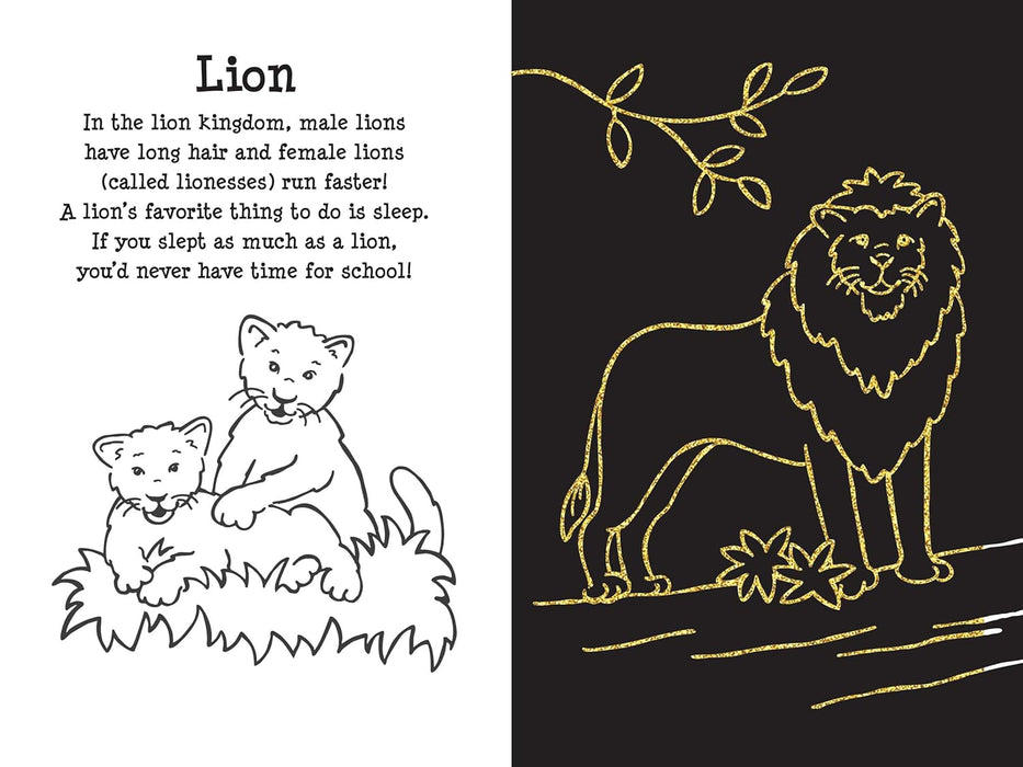 At the Zoo Scratch and Sketch Book