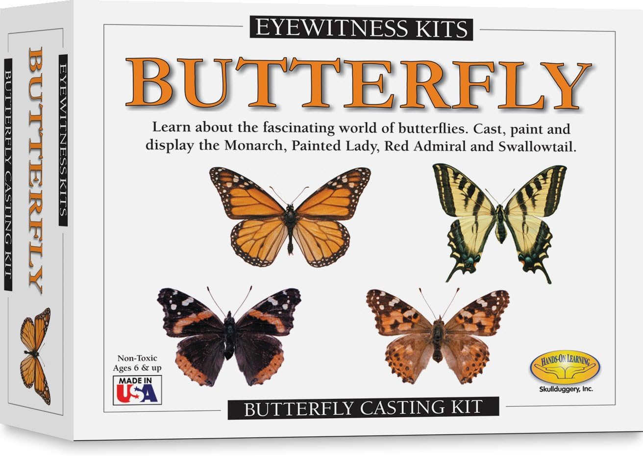 Eyewitness Butterfly