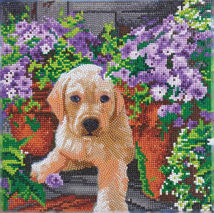 Floral Pup Diamond Painting Kit