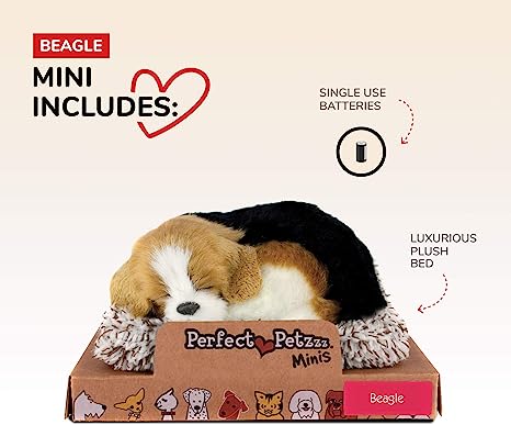 Mini Beagle Perfect Petzzz