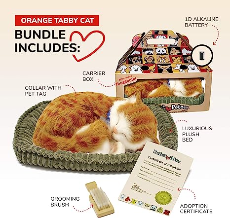 Orange and White Tabby Perfect Petzzz