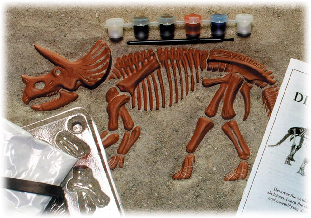 Eyewitness Triceratops Dino Works Casting Kit