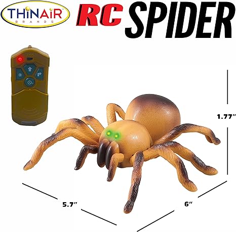 RC Brown Spider
