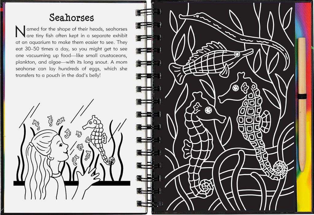 At the Aquarium Scratch and Sketch Book