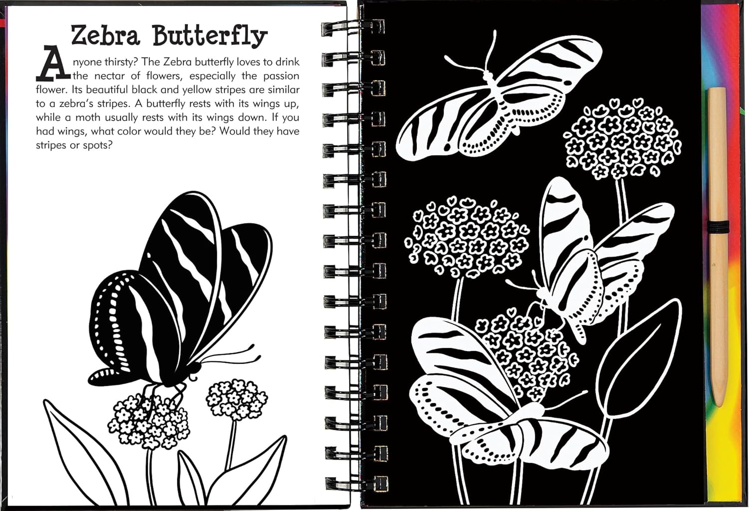 Scratch and Sketch Butterflies and Friends