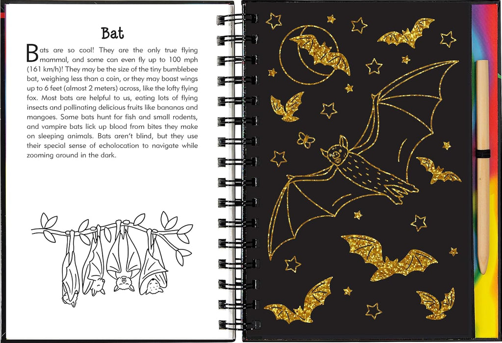 Nocturnal Animals Scratch & Sketch Book