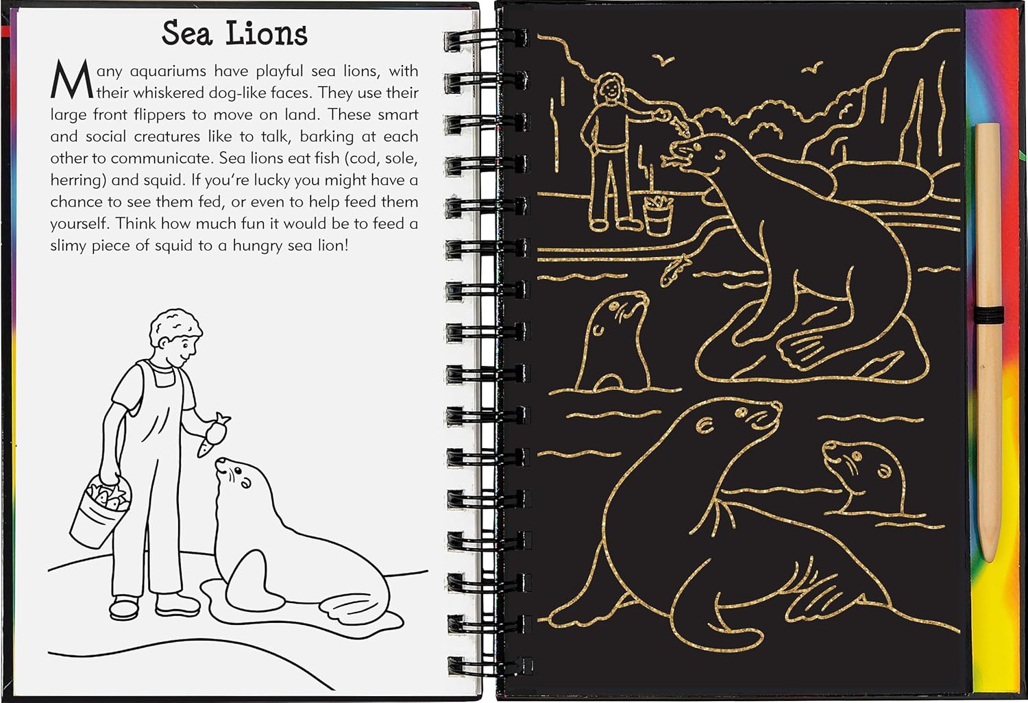At the Aquarium Scratch and Sketch Book