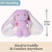 GUND Blankie Pals Bunny Stuffed Animal with Lovey Ears 6-Inch